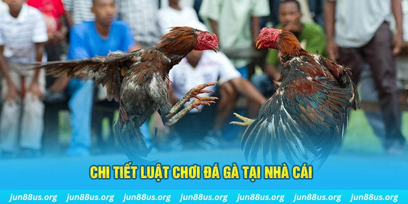 saowin casino kèo nhà cái